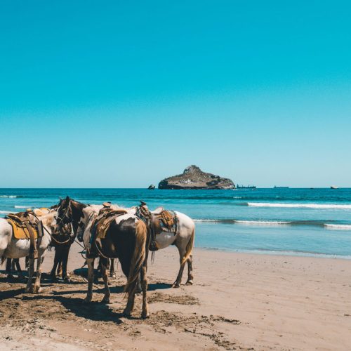 Paseos a caballo El cotillo en Fuerteventura